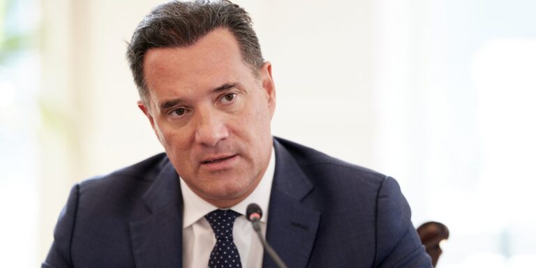 Γεωργιάδης: Μετά τη ΔΕΘ δεν είναι πρόωρες εκλογές