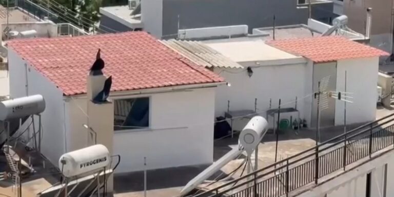 Σοκαριστικές συνθήκες στο Περιστέρι: Η μητέρα των 6 παιδιών μιλάει για τις ακαθαρσίες