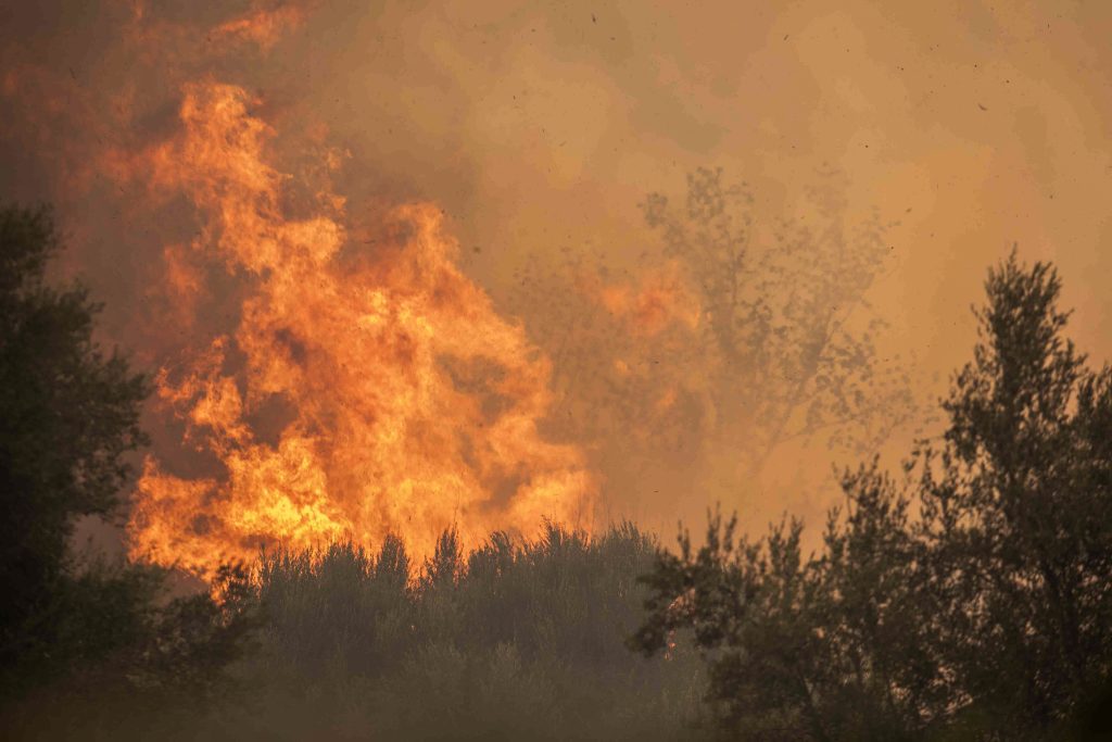 Σύλληψη 45χρονης Ουκρανής για εμπρησμό στα Χανιά