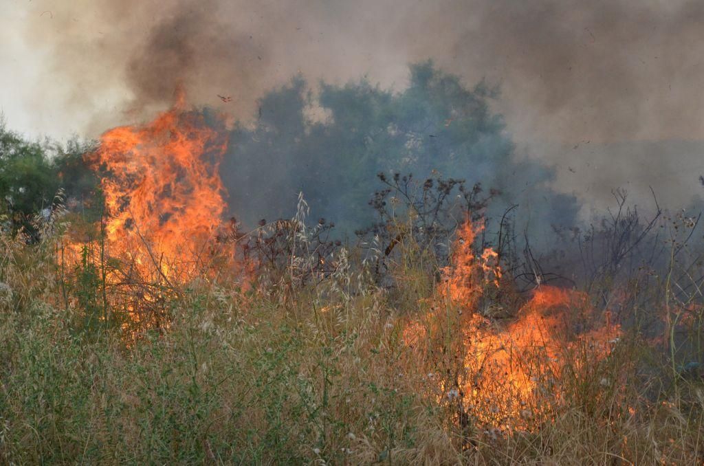 Πυρκαγιά σε δασική έκταση στο Σπαθάρι Ευβοίας: Σε ύφεση και χωρίς ενεργό μέτωπο