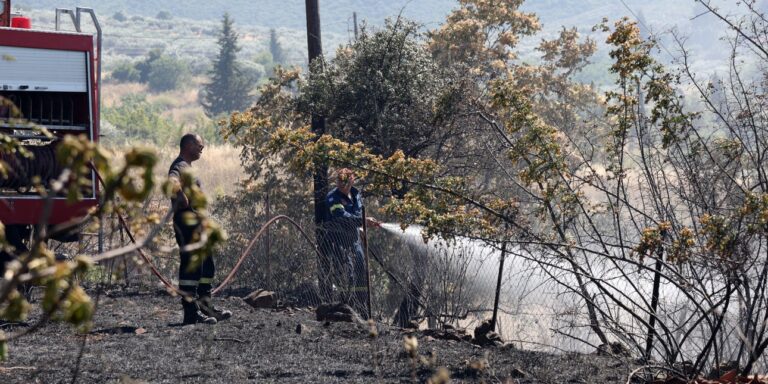 Συλλήψεις για Πυρκαγιές από Αμέλεια σε Φθιώτιδα, Σέρρες, Αττική και Ρόδο
