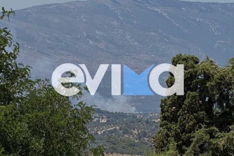 Φωτιά στην Εύβοια: Οι Αρχές Καλούν σε Εκκένωση