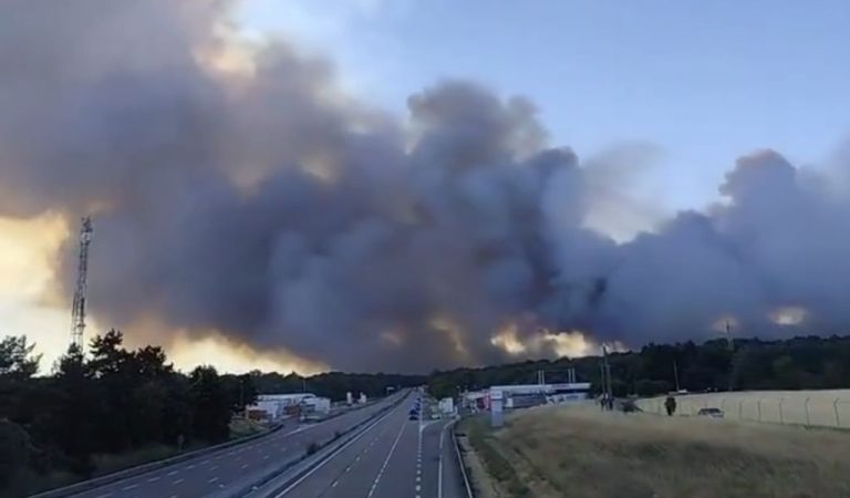 Μια μεγάλη φωτιά ξέσπασε στο δάσος του Φοντενεμπλό