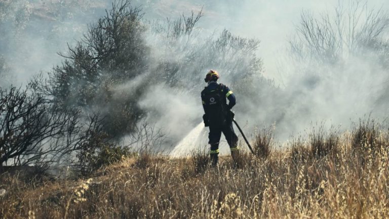 Φωτιά στον Σκαραμαγκά: Μεγάλη κινητοποίηση της Πυροσβεστικής