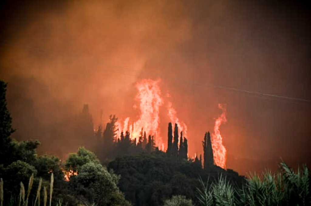 Γαλλία: Υπό έλεγχο το πύρινο μέτωπο στον νομό Λαντ