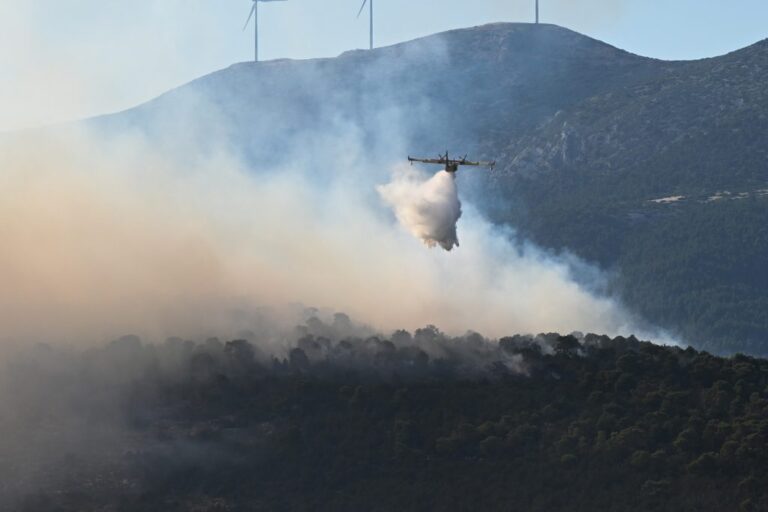 Ρεκόρ συλλήψεων για πρόκληση πυρκαγιών: 13 συλλήψεις σε 2 ημέρες