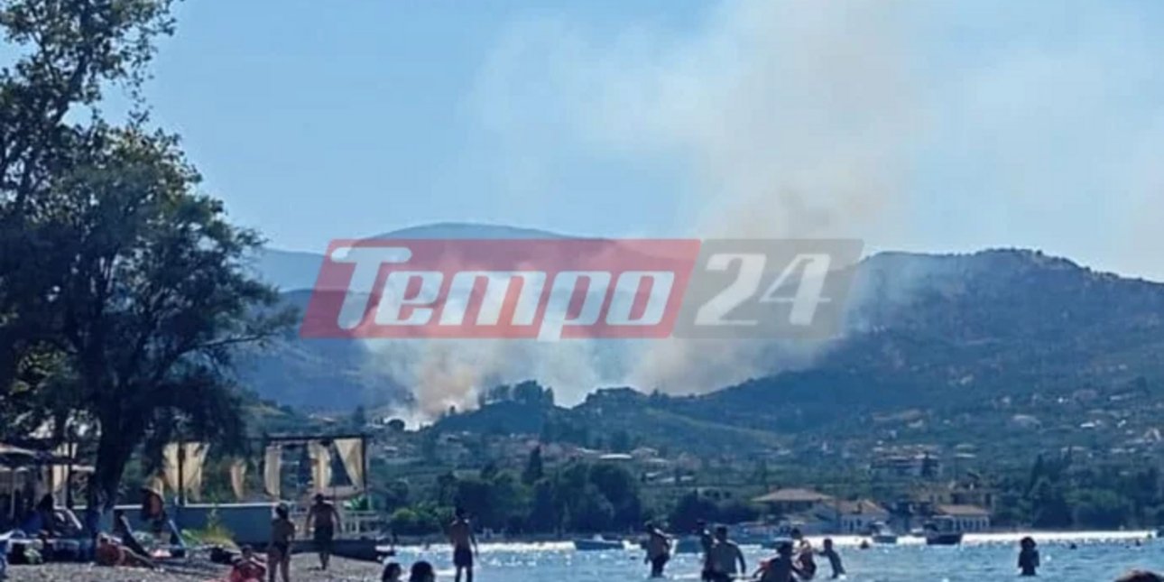 Φωτιά στην Αχαΐα: Οι επιχειρήσεις για την κατάσβεση της πυρκαγιάς στις Νεραντζιές Αιγιαλείας