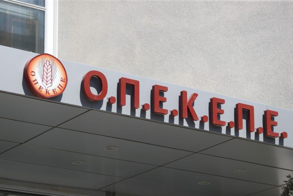 Ποινές φυλάκισης για πρώην στελέχη του ΟΠΕΚΕΠΕ
