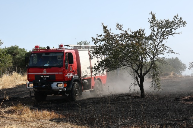 Φωτιά στα Τρίκαλα: Κατασβέστες και εναέρια στη μάχη κατά της φωτιάς
