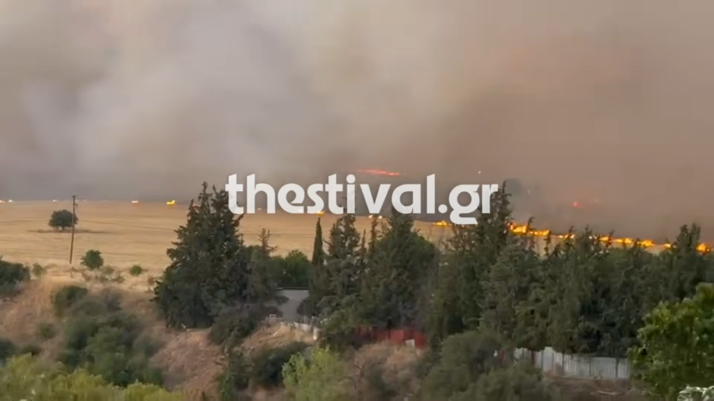 Φωτιά στη Θεσσαλονίκη: Κινητοποίηση για πυρκαγιά κοντά σε κατοικίες