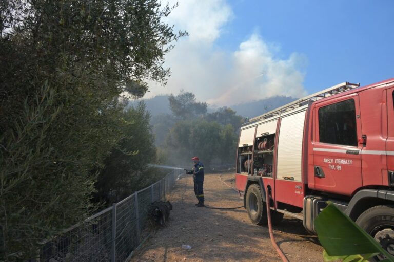 Μεγάλη πυρκαγιά στη Στεφάνη Βοιωτίας: 62 πυροσβέστες, τέσσερα εναέρια μέσα και αβέβαιη προοπτική