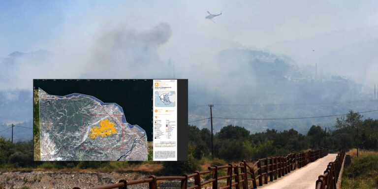 Πυρκαγιά στην Αιγιάλεια: Η κατάσταση μετά την καταστροφή