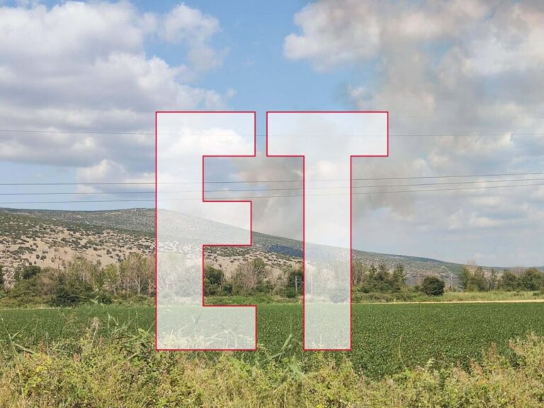 Φωτιά σε αγροτική έκταση στο Ακόντιο Βοιωτίας: Μεγάλη κινητοποίηση της Πυροσβεστικής