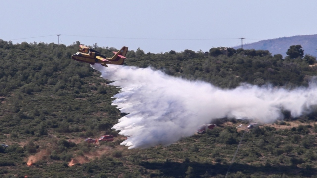 Φωτιά στο Αριοχώρι Καλαμάτας: Επιχειρούν 20 πυροσβέστες και δύο αεροσκάφη