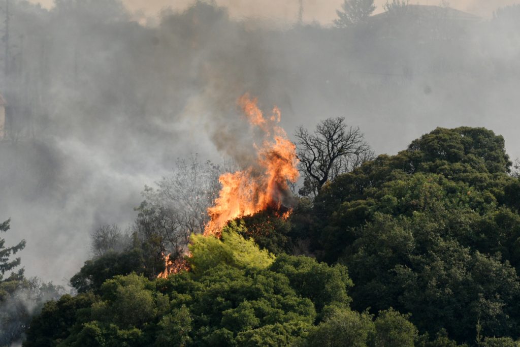 Φωτιές στην Ελλάδα: Τελευταίες εξελίξεις