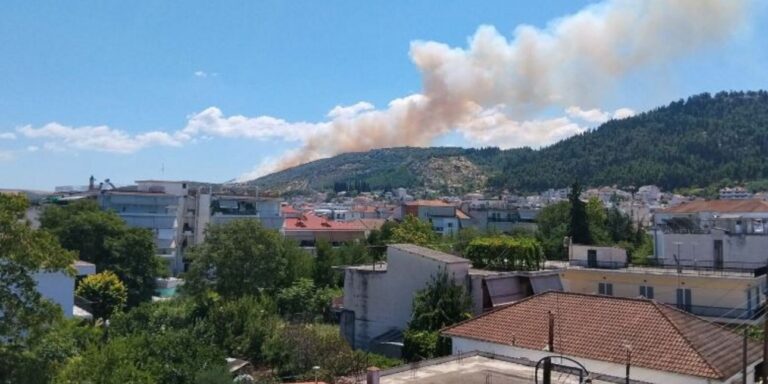 Φωτιά στη Λάρισα: Καίγεται αγροτοδασική έκταση στην Κυρά Φαρσάλων