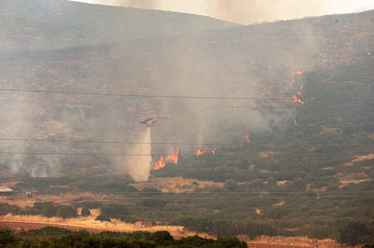 Συλλήψεις για πυρκαγιές από αμέλεια στη Λέσβο και την Κορινθία