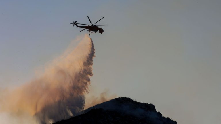 Διάσωση δασικής έκτασης στην Κρανιά Ελασσόνας: Πυρκαγιά, εναέρια επέμβαση και προοπτικές