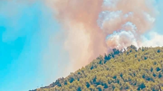 Φωτιά στη δασική έκταση της Τάναγρας μετά την πτώση του αεροσκάφους Phantom στο Athens Flying Week
