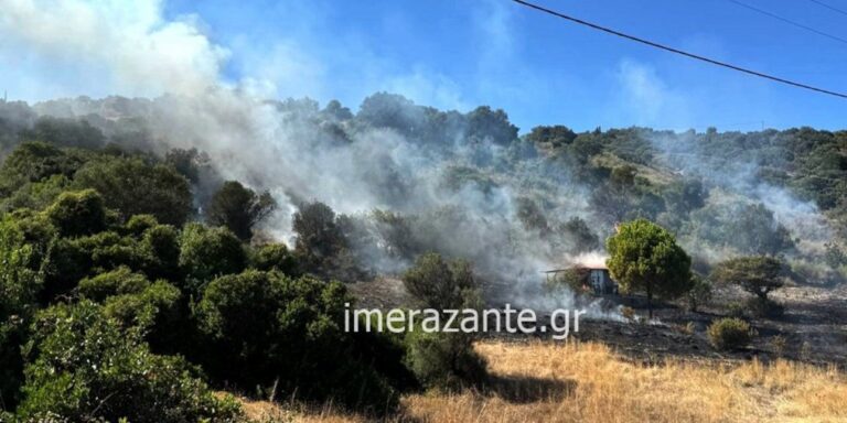 Πυρκαγιά στη Ζάκηνθο: 31 πυροσβέστες και 6 εναέρια μέσα καταπολεμούν τη φωτιά στην Ξύγκια