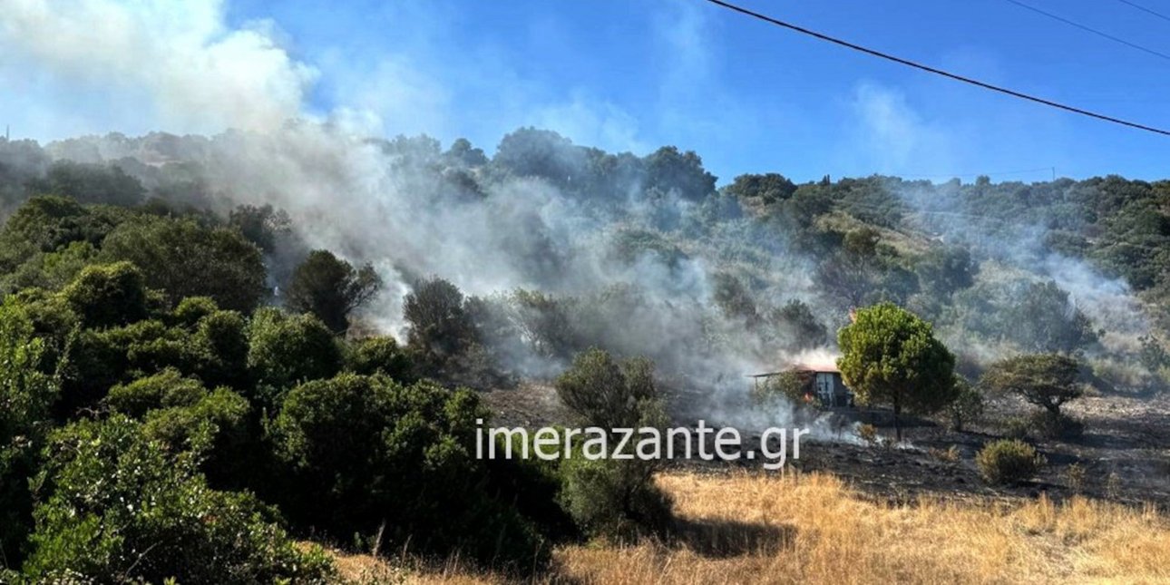 Πυρκαγιά στη Ζάκηνθο: 31 πυροσβέστες και 6 εναέρια μέσα καταπολεμούν τη φωτιά στην Ξύγκια