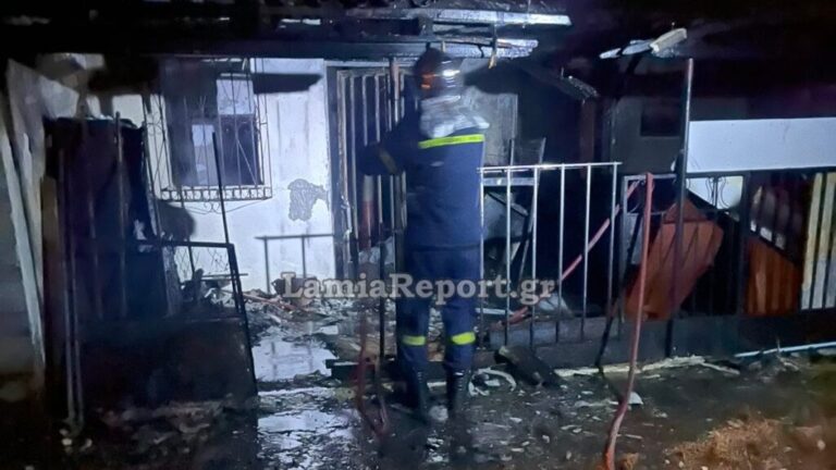 Φθιώτιδα: Θάνατος 32χρονης και του σκυλιού της σε πυρκαγιά νωρίς το βράδυ