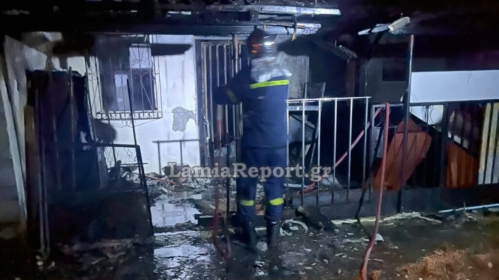 Φθιώτιδα: Θάνατος 32χρονης και του σκυλιού της σε πυρκαγιά νωρίς το βράδυ