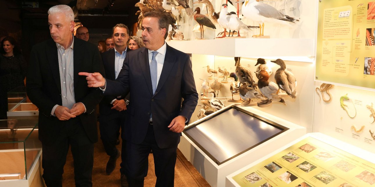 Ανανεωμένη έκθεση του Μουσείου Φυσικής Ιστορίας Κρήτης: Σημείο αναφοράς για το νησί