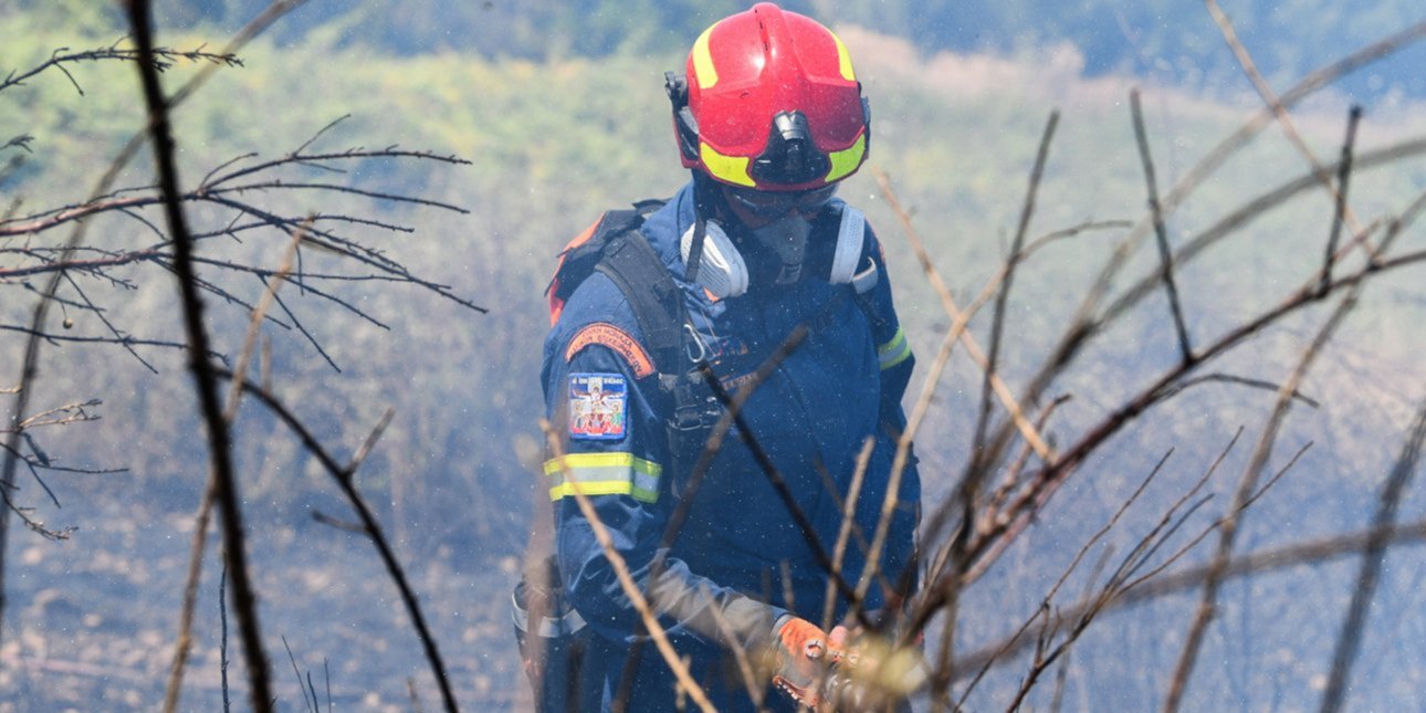 Φωτιά σε χαμηλή βλάστηση στην Τριανταφυλλιά της Ηλείας: 30 πυροσβέστες σε μάχη ενάντια στην εξάπλωση του καπνού