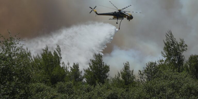 Δασική πυρκαγιά στην Καρδίτσα: 17 πυροσβέστες, ελικόπτερο και ενδεχόμενη ανθρώπινη ευθύνη