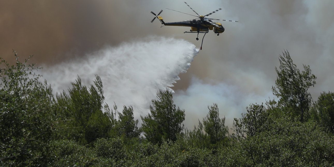 Δασική πυρκαγιά στην Καρδίτσα: 17 πυροσβέστες, ελικόπτερο και ενδεχόμενη ανθρώπινη ευθύνη